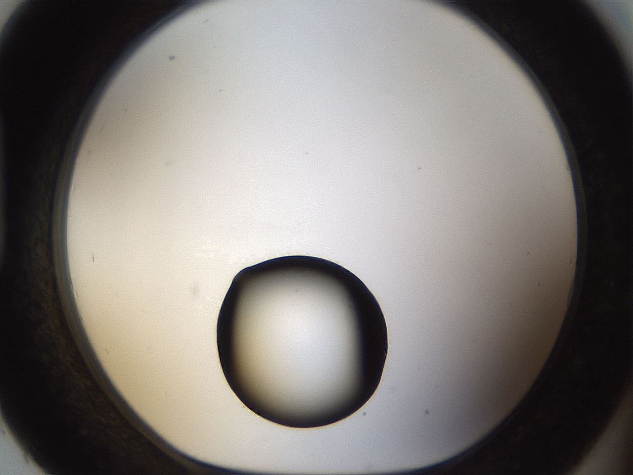 folderID37_plateID1037_batchID2104_wellNum93_profileID1_d1_r46144_ef.jpg