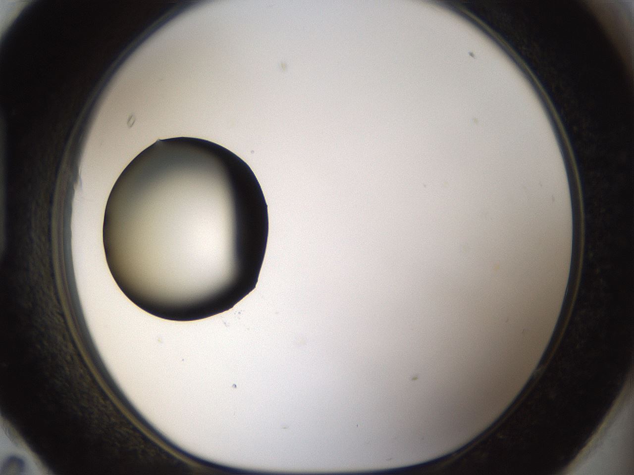 folderID37_plateID1037_batchID2104_wellNum95_profileID1_d1_r46148_ef.jpg