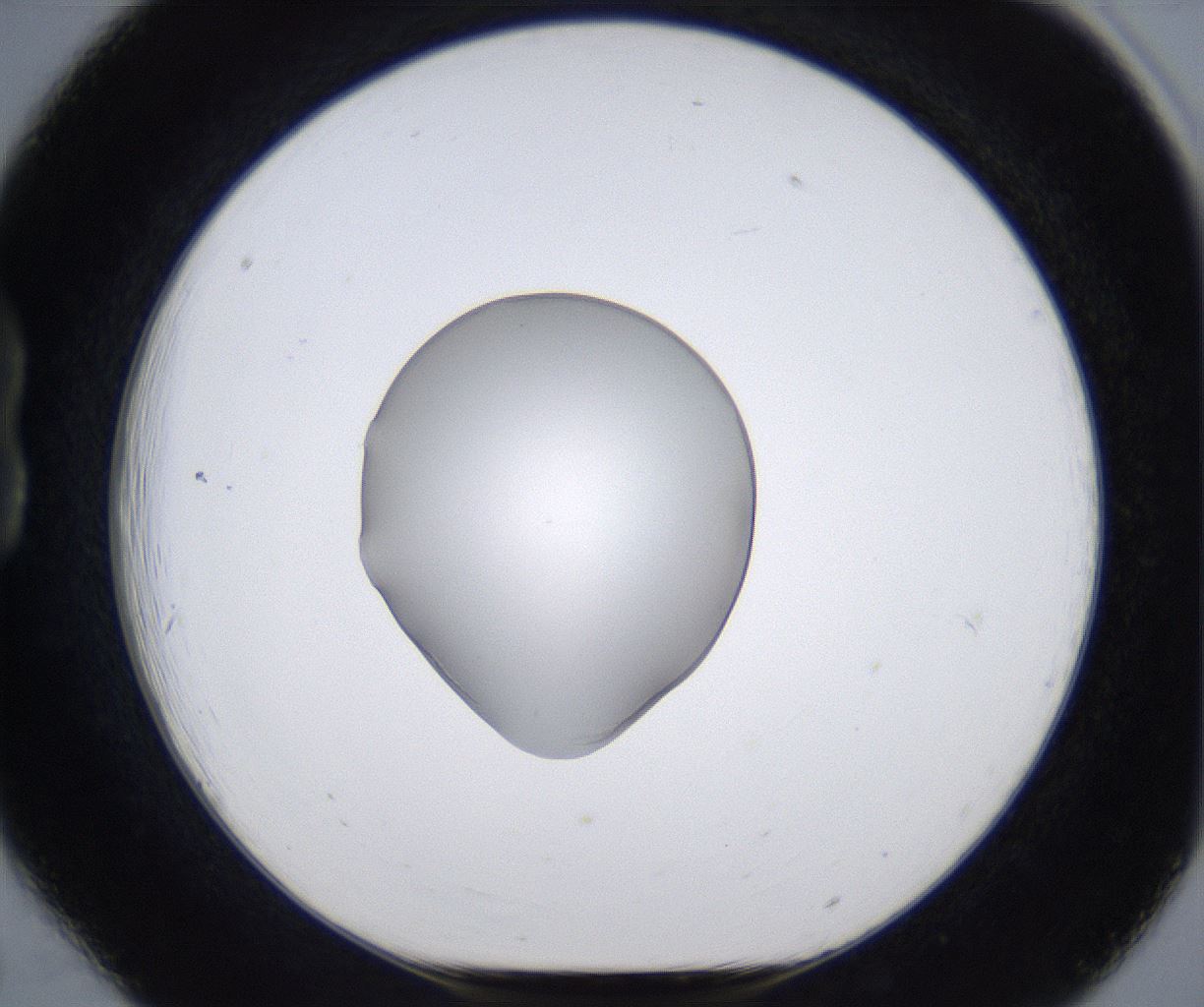 folderID380_plateID2380_batchID11225_wellNum18_profileID1_d1_r175476_ef.jpg