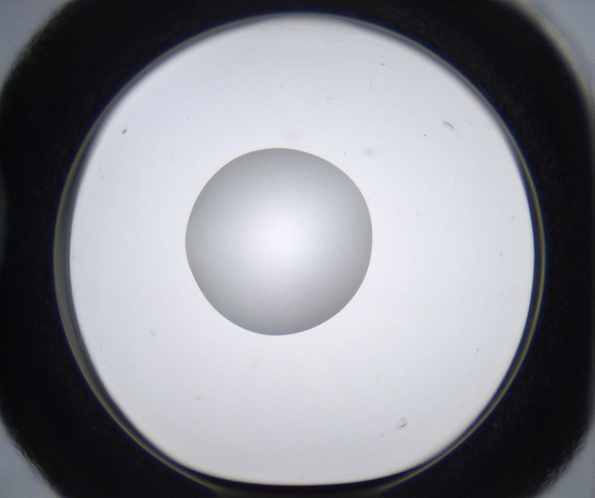 folderID380_plateID2380_batchID11225_wellNum40_profileID1_d1_r175498_ef.jpg