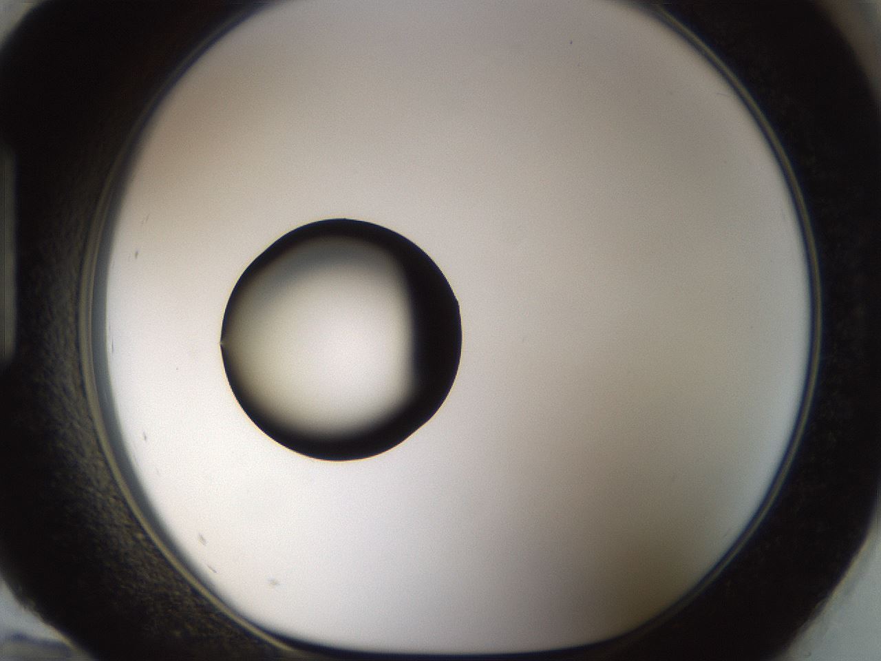 folderID37_plateID1037_batchID2104_wellNum96_profileID1_d1_r46150_ef.jpg