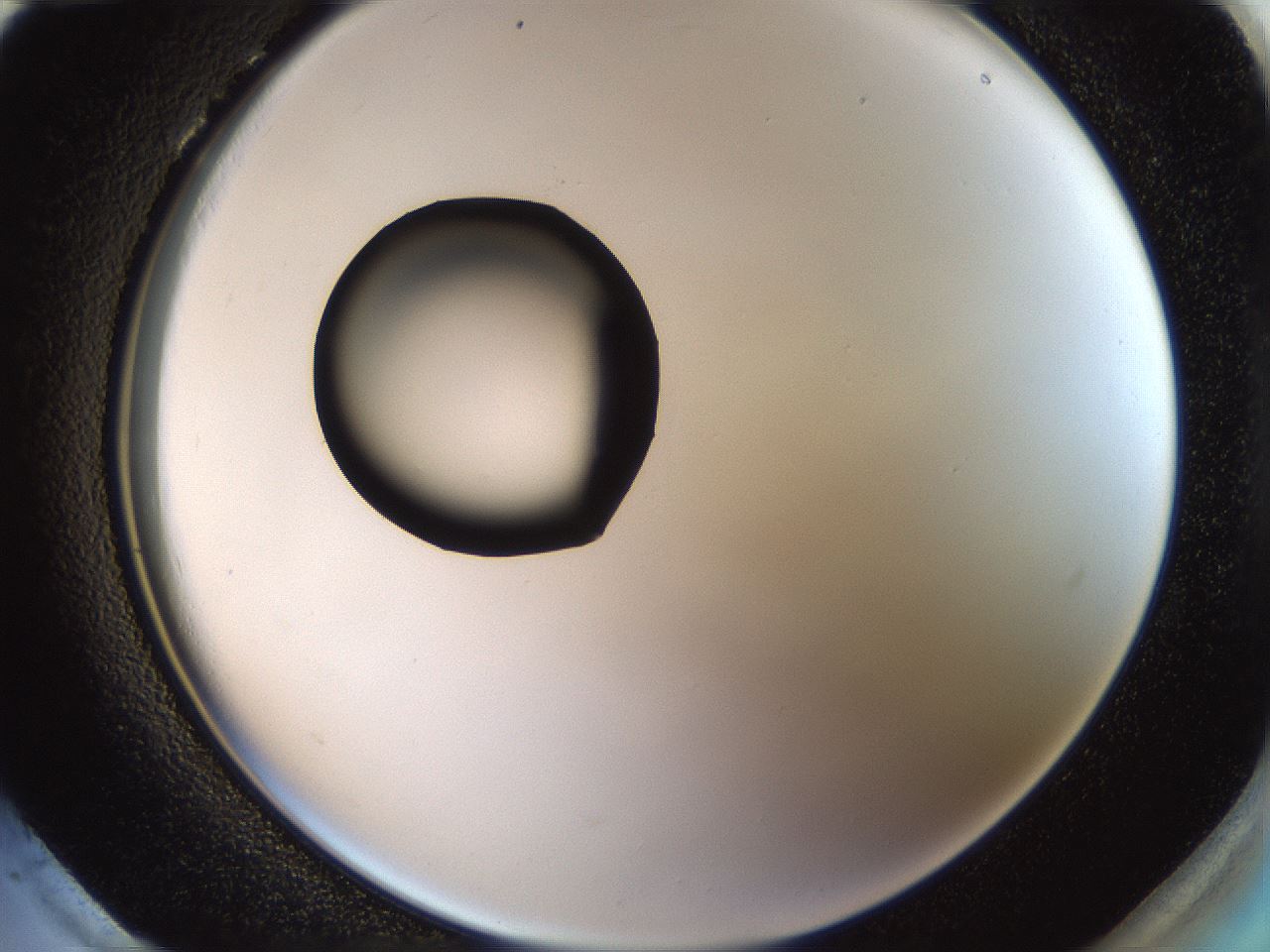 folderID37_plateID1037_batchID2104_wellNum96_profileID1_d2_r46151_ef.jpg