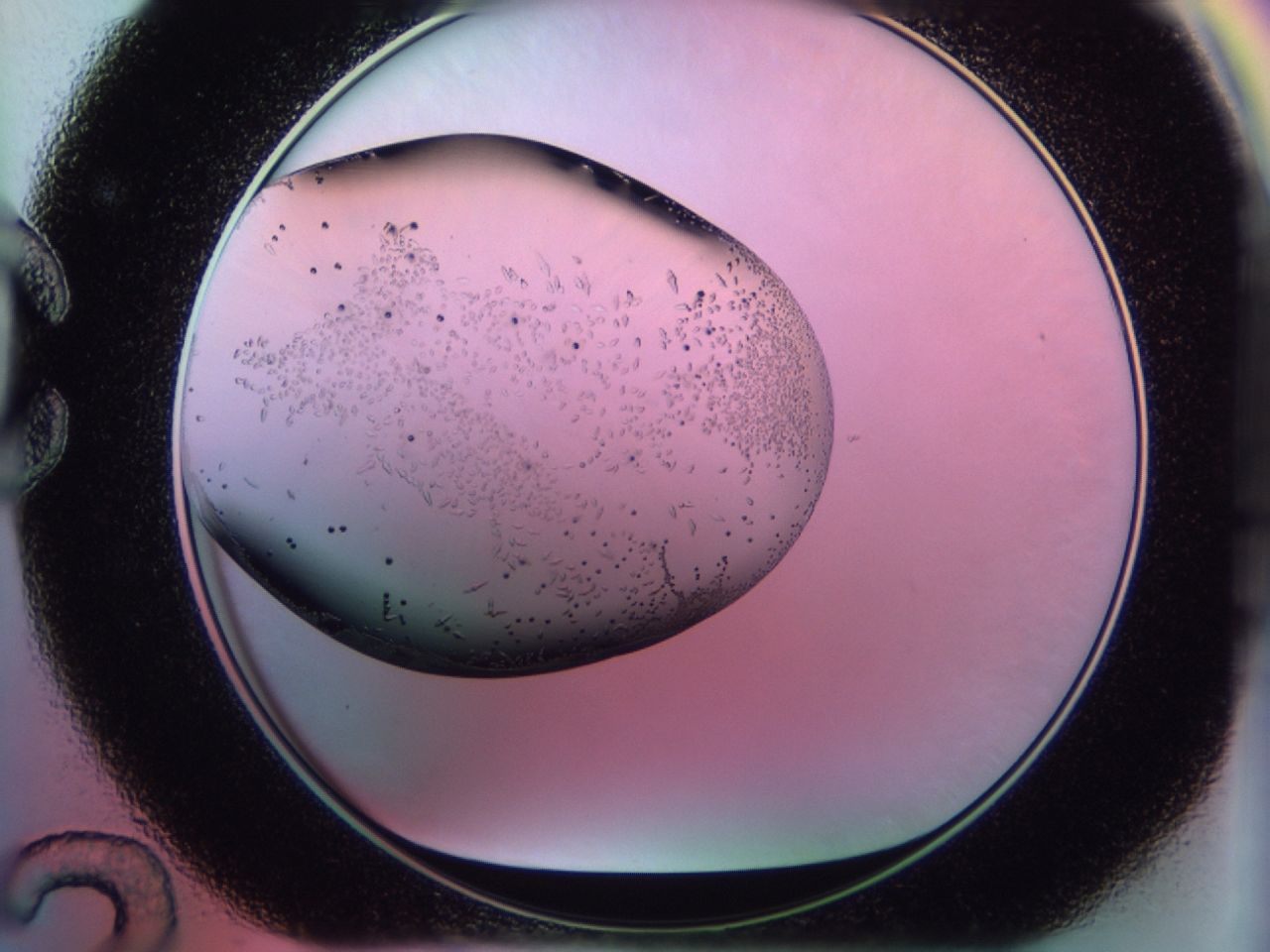 02km_C12_ImagerDefaults_9.jpg