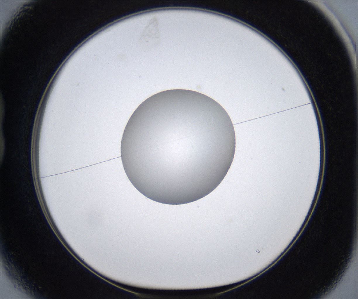 folderID380_plateID2380_batchID11225_wellNum13_profileID1_d1_r175471_ef.jpg