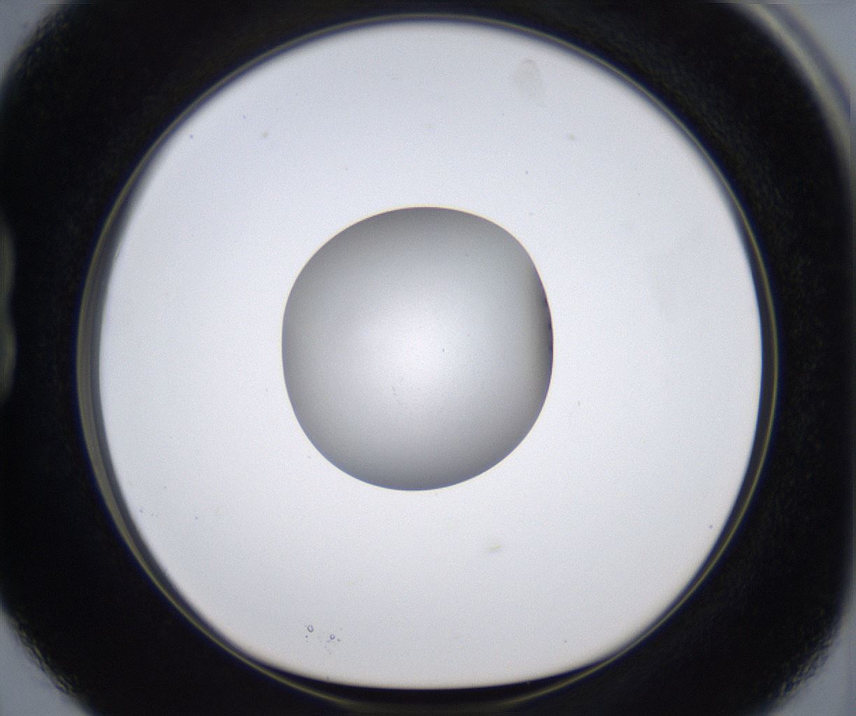 folderID380_plateID2380_batchID11225_wellNum15_profileID1_d1_r175473_ef.jpg