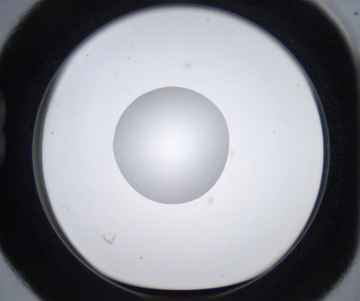 folderID380_plateID2380_batchID11225_wellNum16_profileID1_d1_r175474_ef.jpg