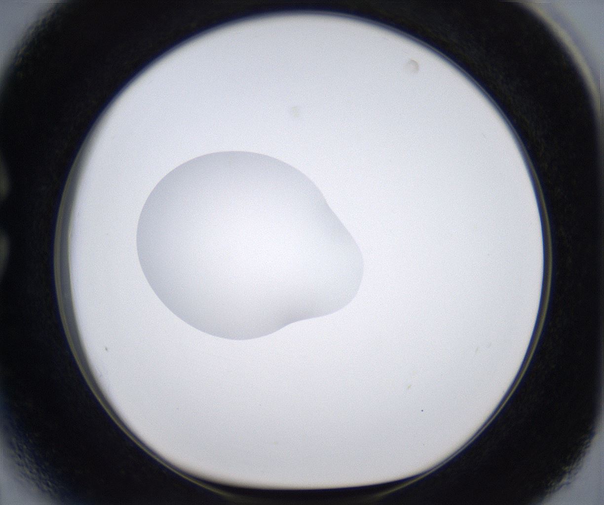 folderID380_plateID2380_batchID11225_wellNum27_profileID1_d1_r175485_ef.jpg
