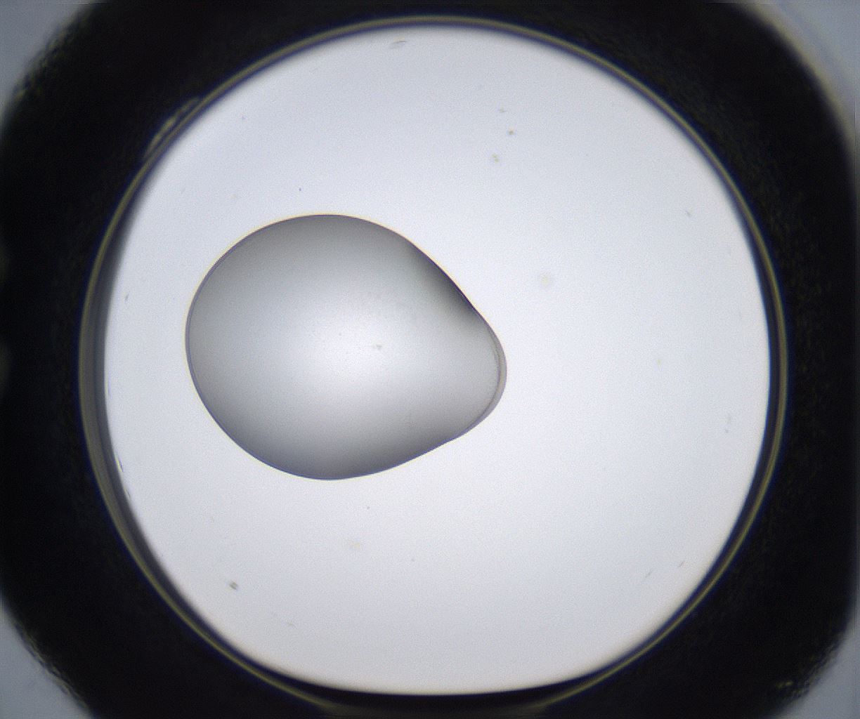folderID380_plateID2380_batchID11225_wellNum28_profileID1_d1_r175486_ef.jpg