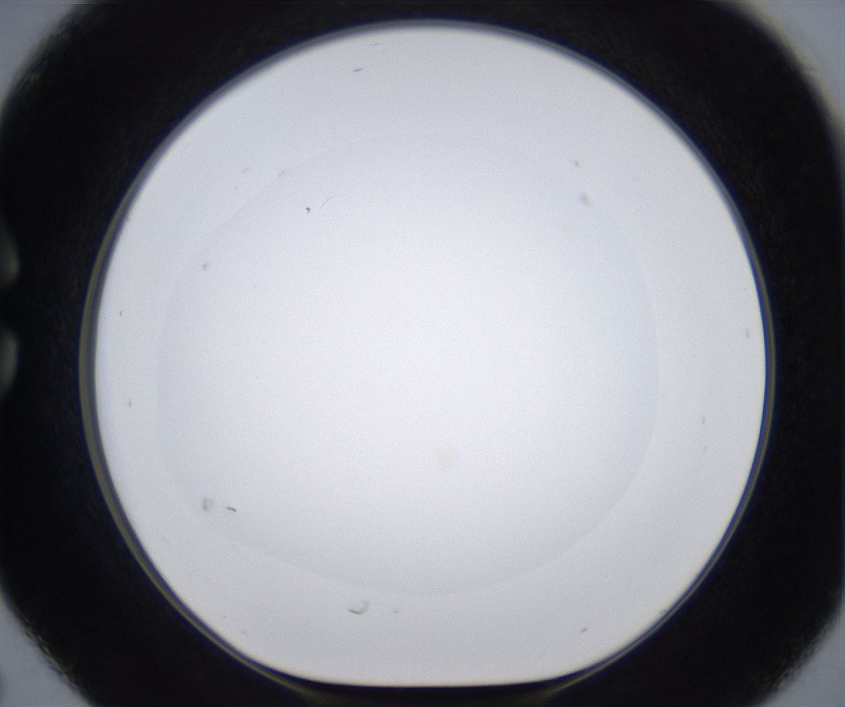 folderID380_plateID2380_batchID11225_wellNum30_profileID1_d1_r175488_ef.jpg