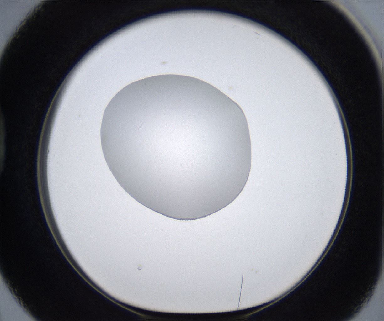 folderID380_plateID2380_batchID11225_wellNum38_profileID1_d1_r175496_ef.jpg