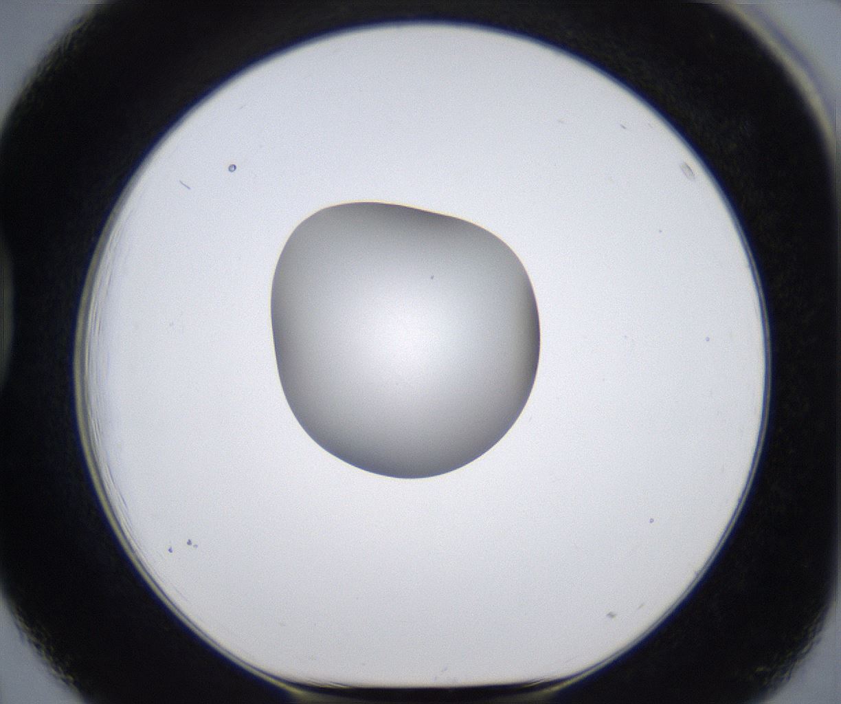 folderID380_plateID2380_batchID11225_wellNum39_profileID1_d1_r175497_ef.jpg