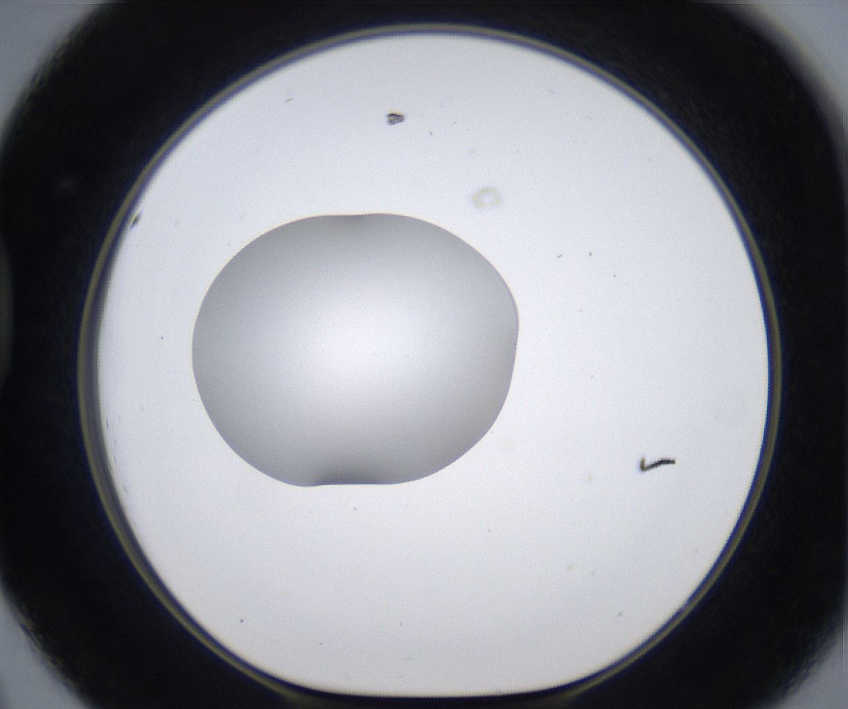 folderID380_plateID2380_batchID11225_wellNum44_profileID1_d1_r175502_ef.jpg