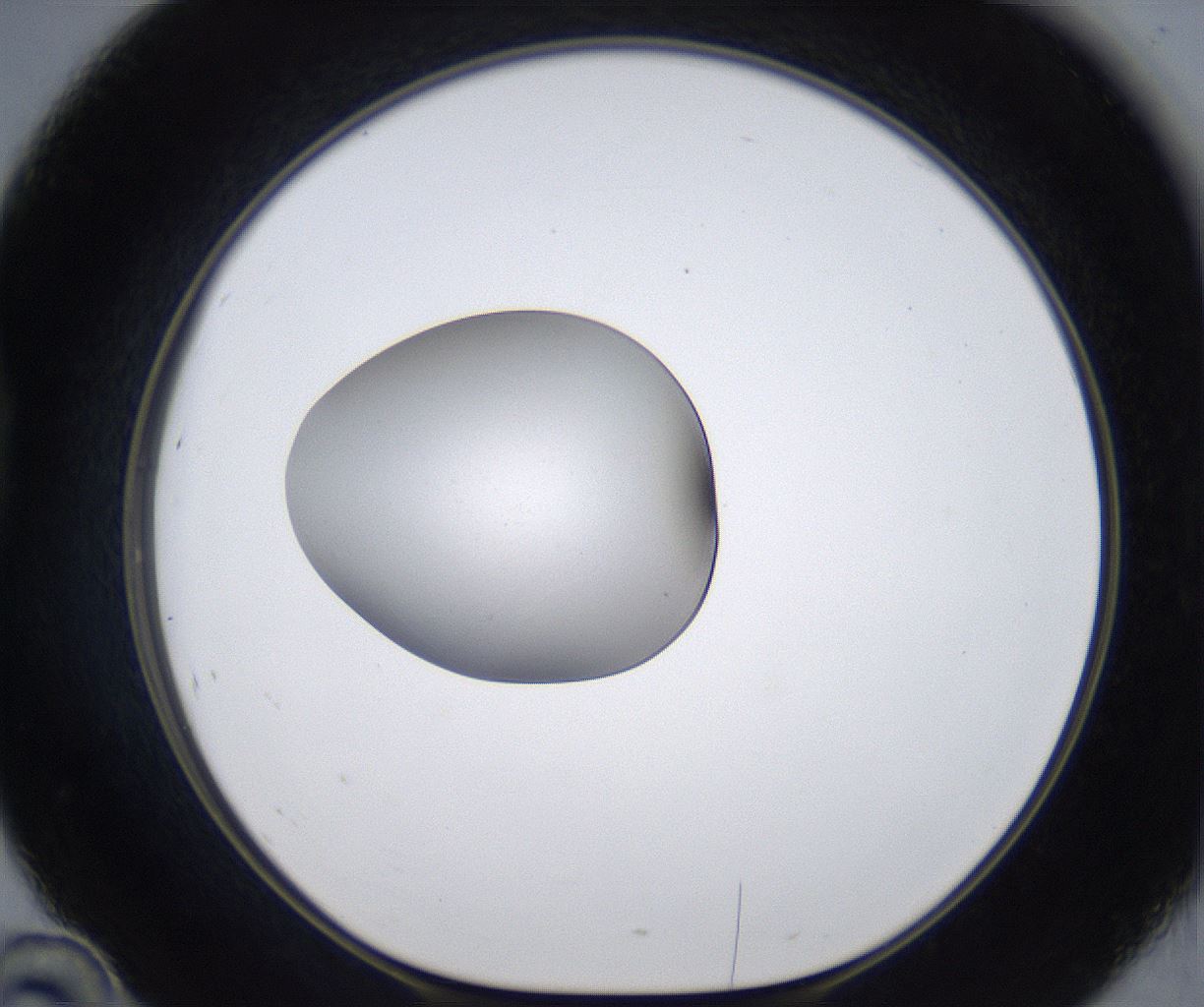 folderID380_plateID2380_batchID11225_wellNum46_profileID1_d1_r175504_ef.jpg