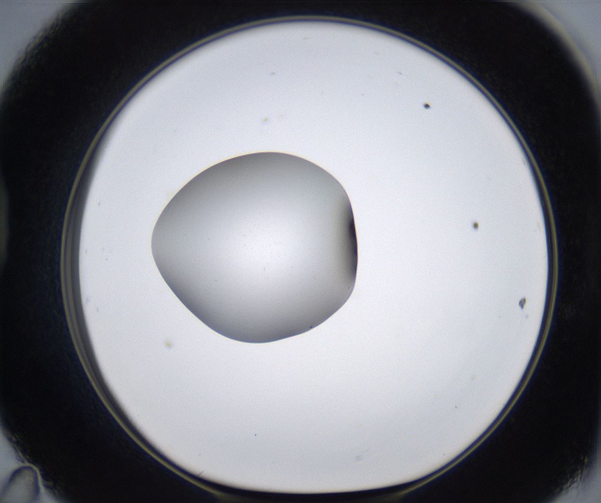 folderID380_plateID2380_batchID11225_wellNum47_profileID1_d1_r175505_ef.jpg
