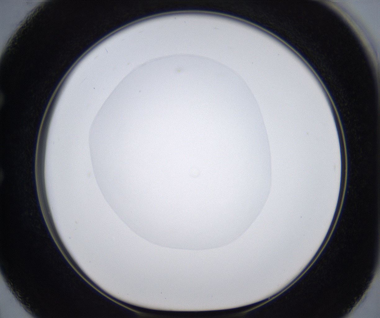 folderID380_plateID2380_batchID11225_wellNum50_profileID1_d1_r175508_ef.jpg