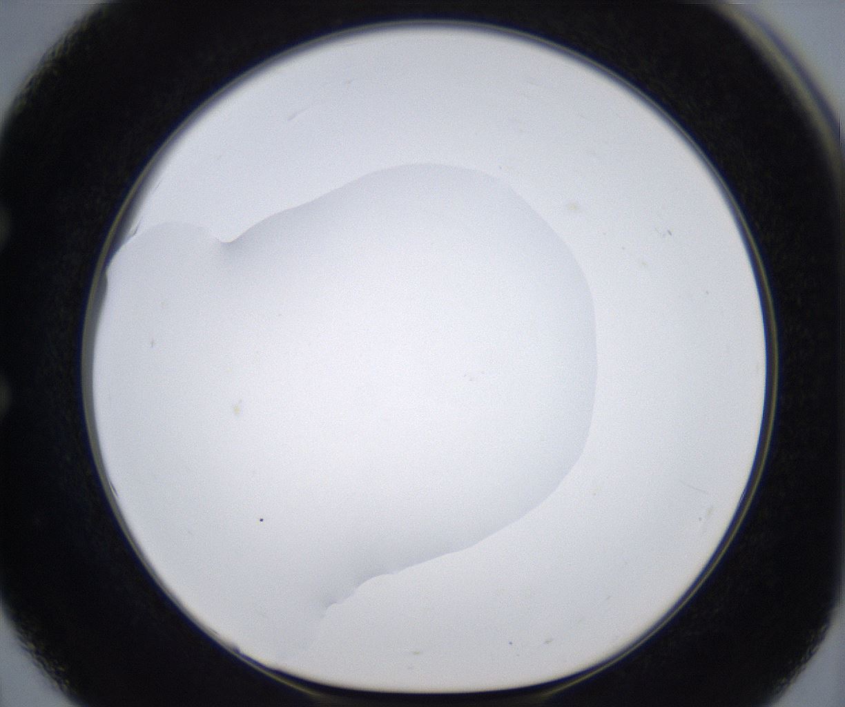 folderID380_plateID2380_batchID11225_wellNum51_profileID1_d1_r175509_ef.jpg