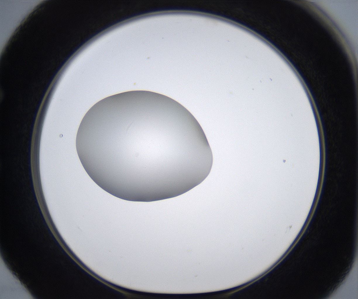 folderID380_plateID2380_batchID11225_wellNum52_profileID1_d1_r175510_ef.jpg