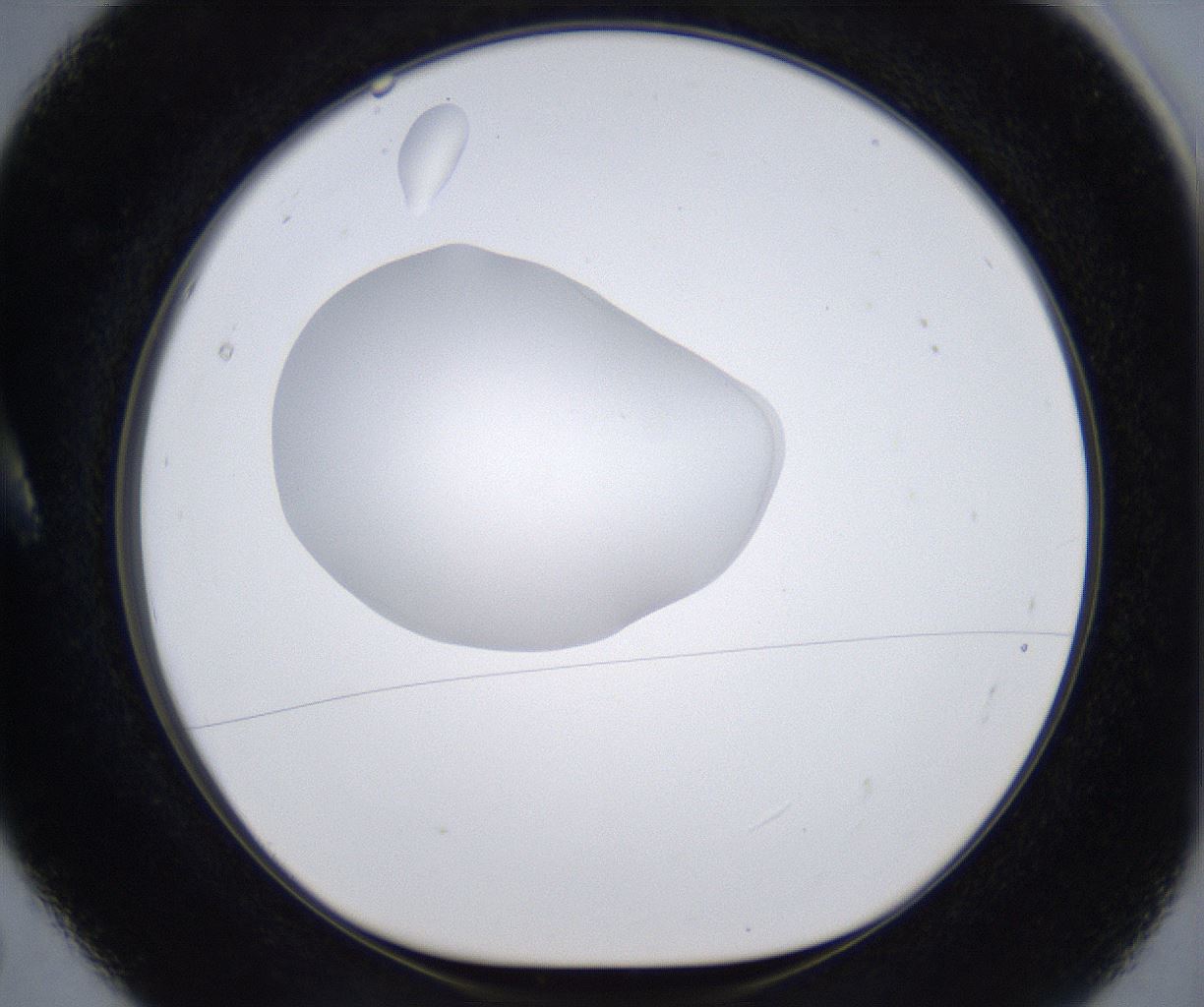 folderID380_plateID2380_batchID11225_wellNum5_profileID1_d1_r175463_ef.jpg