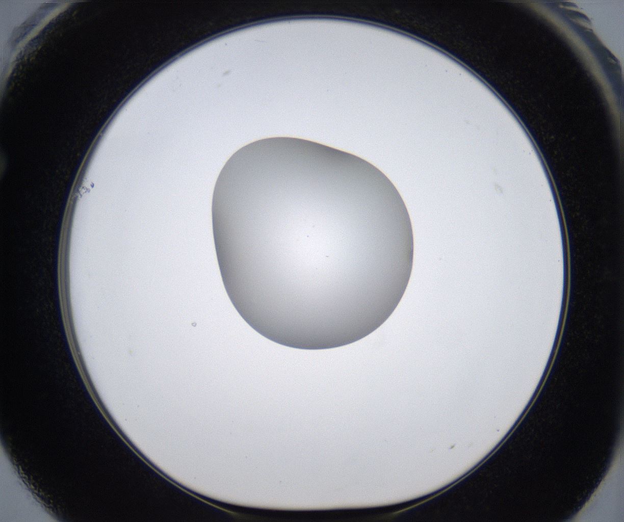 folderID380_plateID2380_batchID11225_wellNum61_profileID1_d1_r175519_ef.jpg