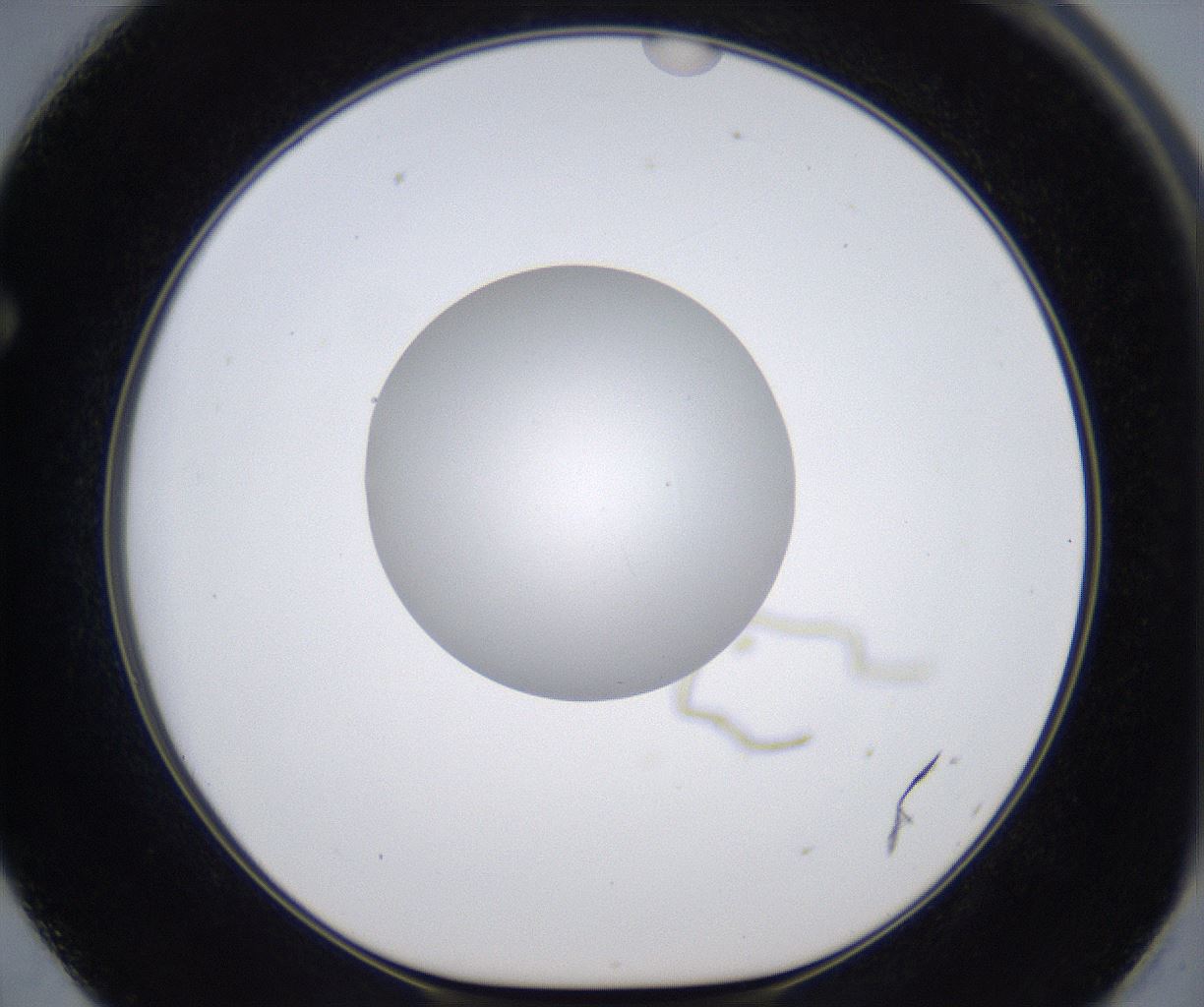 folderID380_plateID2380_batchID11225_wellNum62_profileID1_d1_r175520_ef.jpg