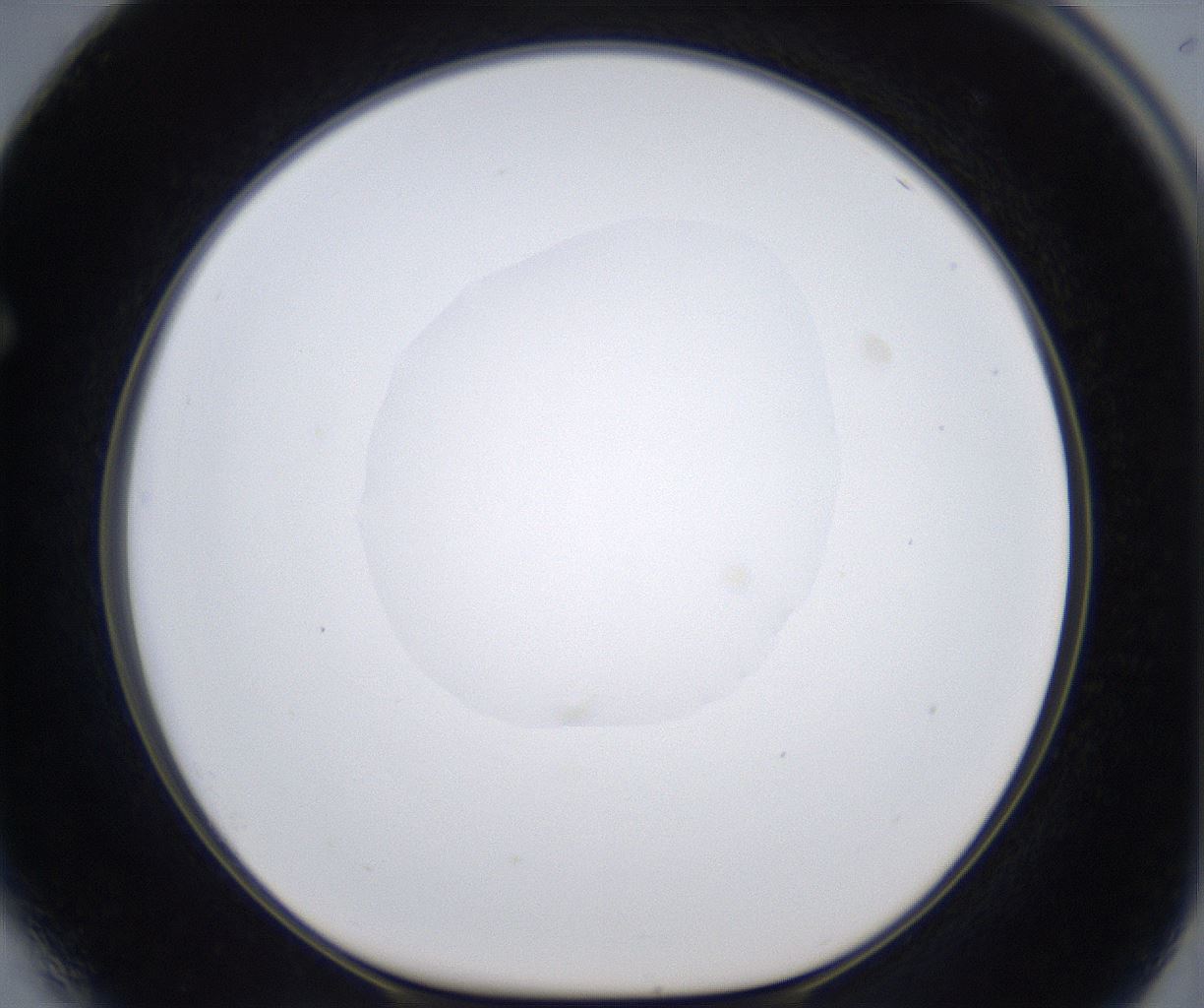 folderID380_plateID2380_batchID11225_wellNum64_profileID1_d1_r175522_ef.jpg