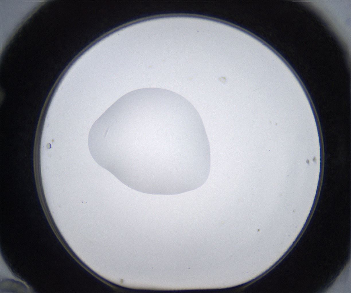 folderID380_plateID2380_batchID11225_wellNum70_profileID1_d1_r175528_ef.jpg