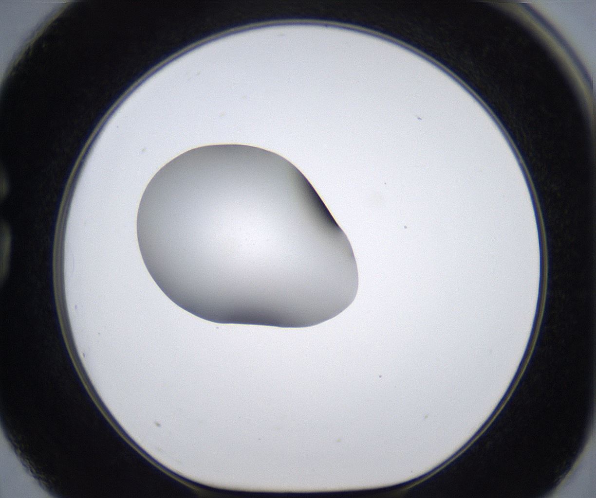 folderID380_plateID2380_batchID11225_wellNum75_profileID1_d1_r175533_ef.jpg