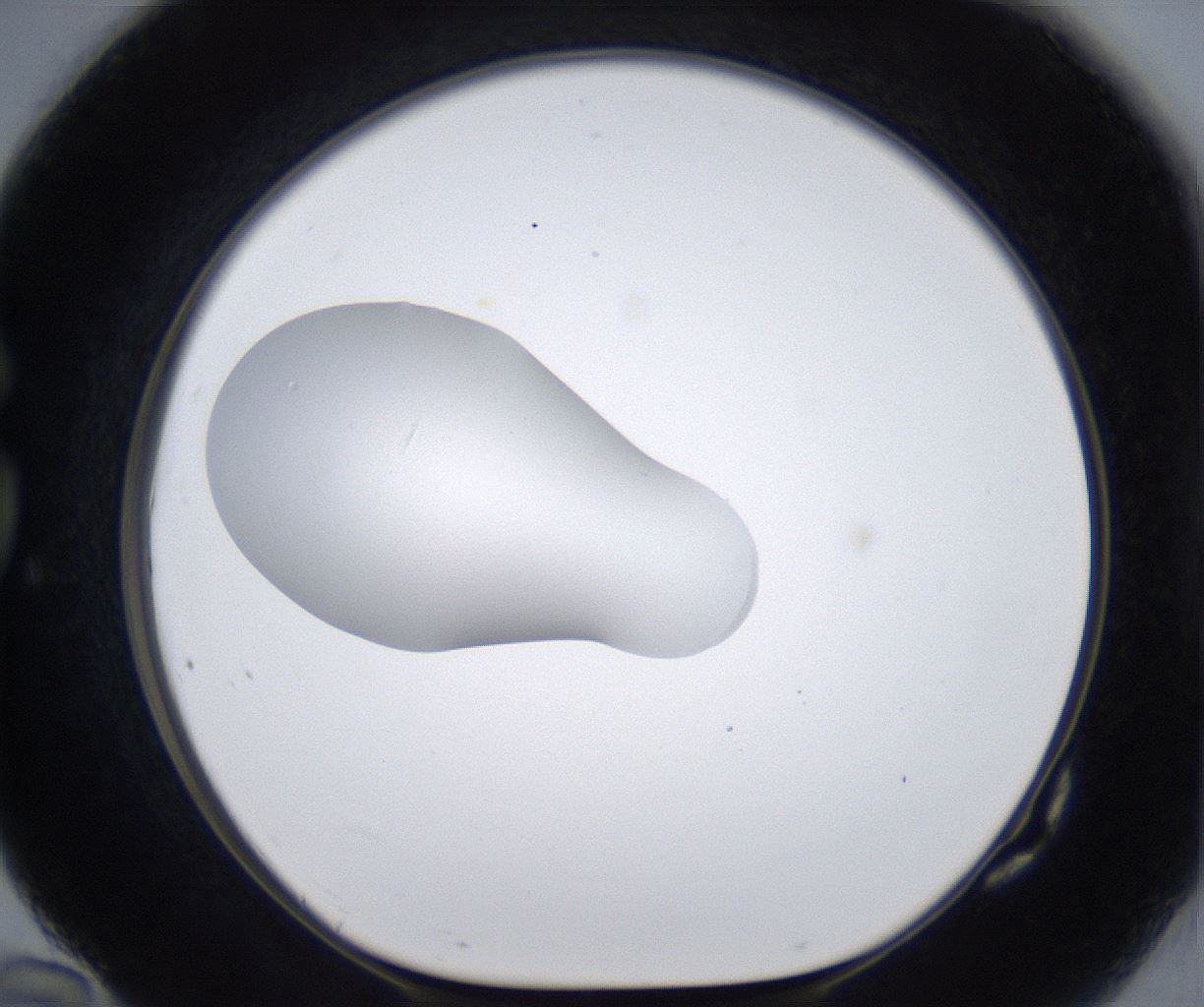 folderID380_plateID2380_batchID11225_wellNum82_profileID1_d1_r175540_ef.jpg