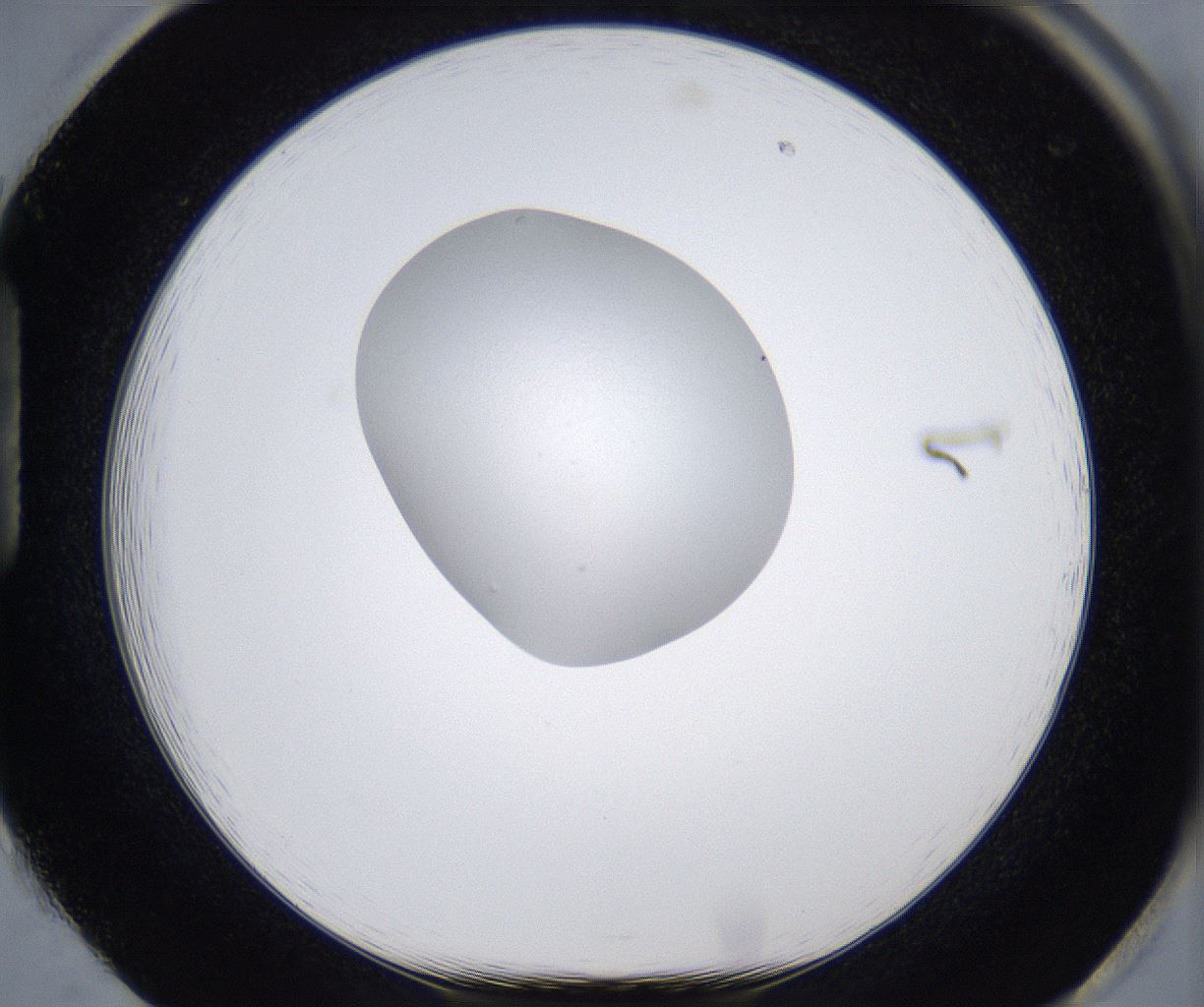 folderID380_plateID2380_batchID11225_wellNum85_profileID1_d1_r175543_ef.jpg