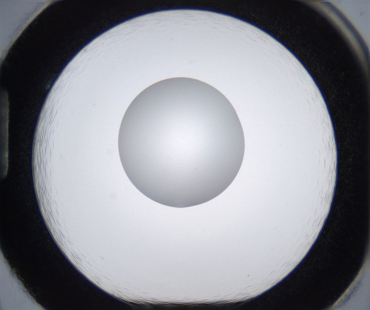 folderID380_plateID2380_batchID11225_wellNum86_profileID1_d1_r175544_ef.jpg