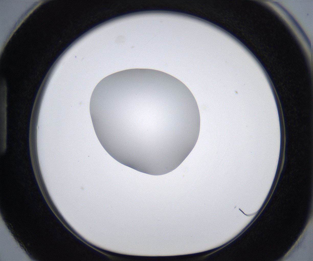 folderID380_plateID2380_batchID11225_wellNum87_profileID1_d1_r175545_ef.jpg