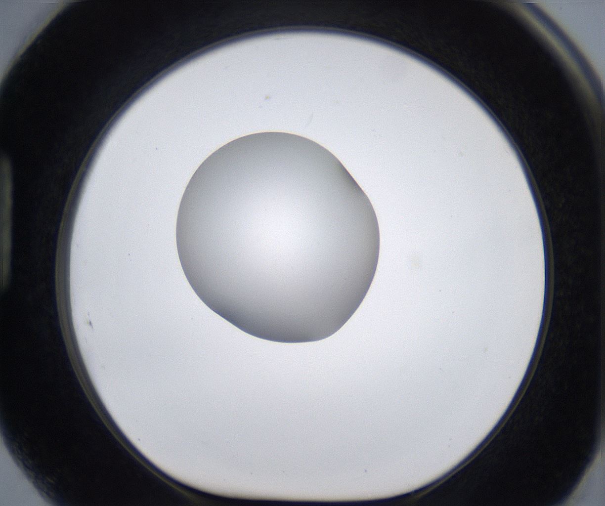 folderID380_plateID2380_batchID11225_wellNum89_profileID1_d1_r175547_ef.jpg