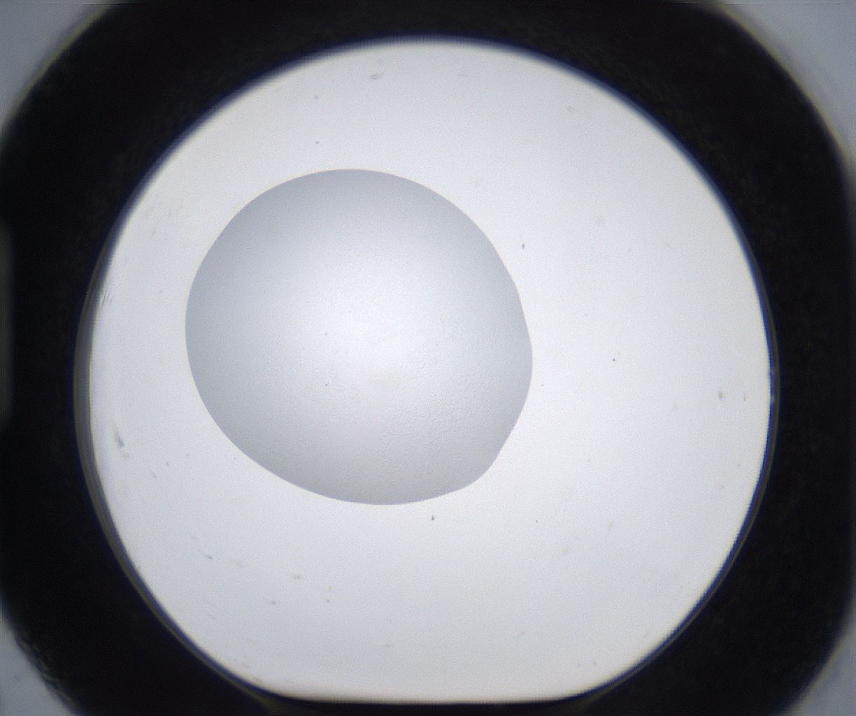 folderID380_plateID2380_batchID11225_wellNum91_profileID1_d1_r175549_ef.jpg