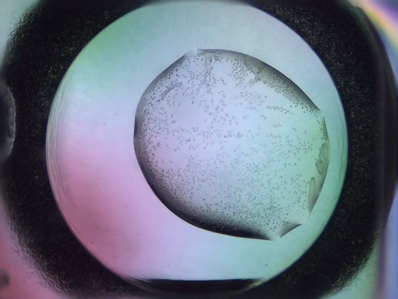 02km_D5_ImagerDefaults_9.jpg