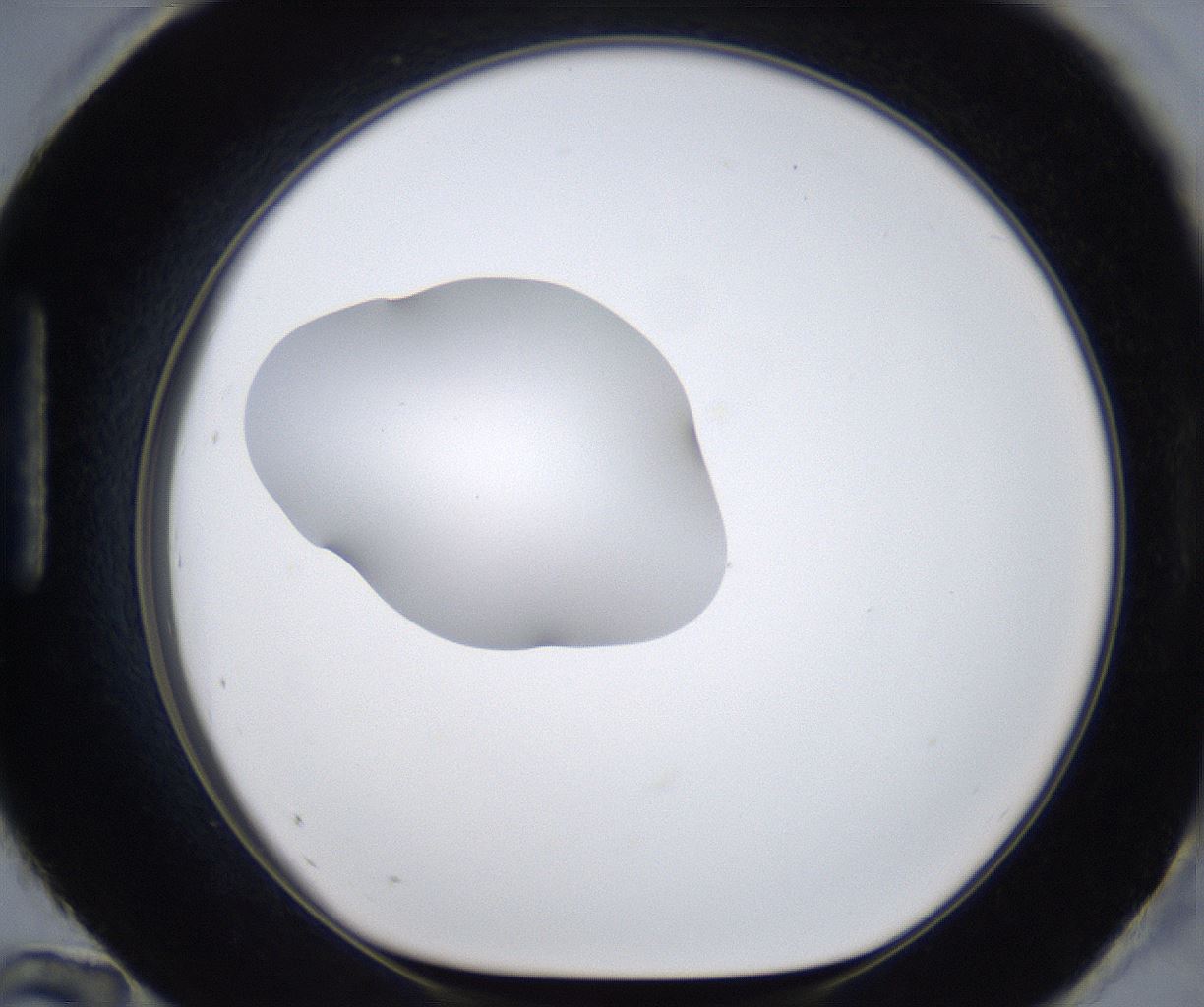 folderID380_plateID2380_batchID11225_wellNum96_profileID1_d1_r175554_ef.jpg