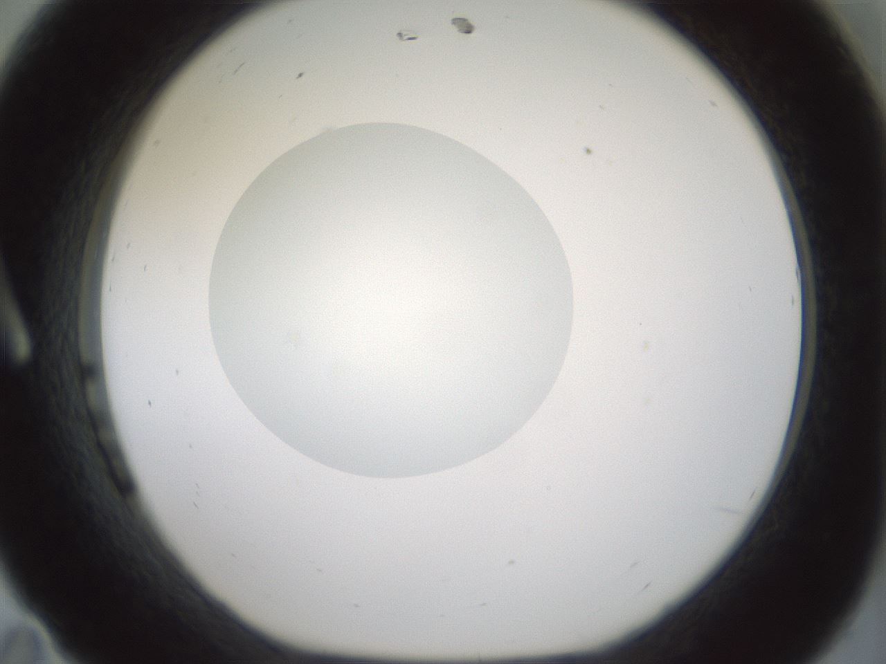 folderID381_plateID1381_batchID4970_wellNum11_profileID1_d1_r84314_ef.jpg