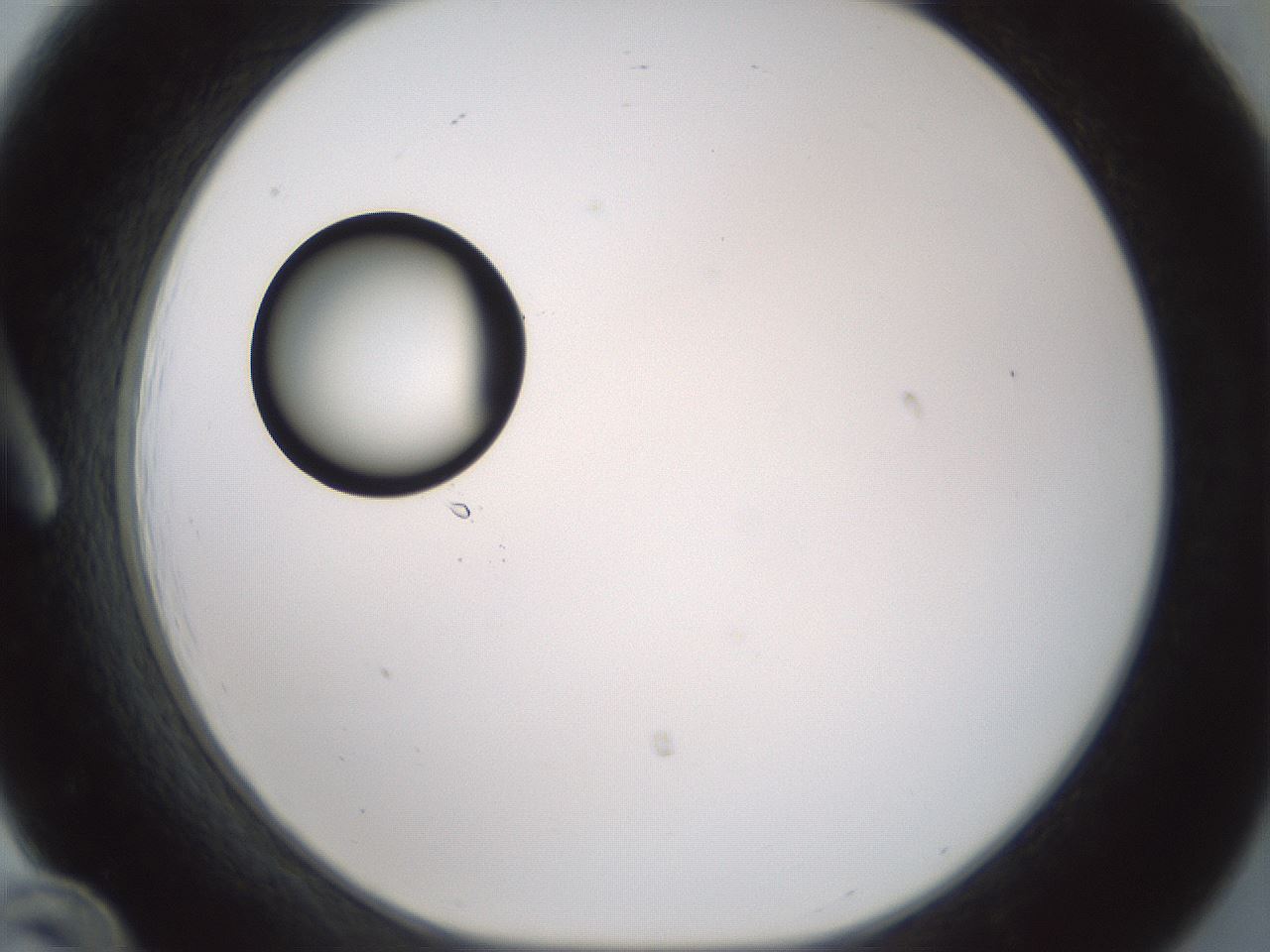 folderID381_plateID1381_batchID4970_wellNum12_profileID1_d1_r84315_ef.jpg