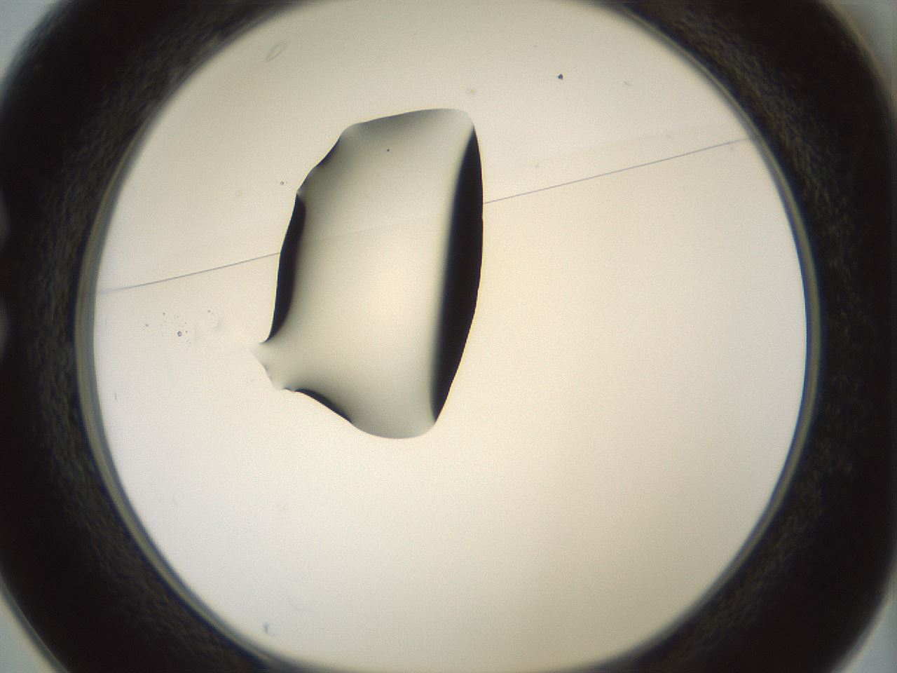 folderID381_plateID1381_batchID4970_wellNum25_profileID1_d1_r84328_ef.jpg