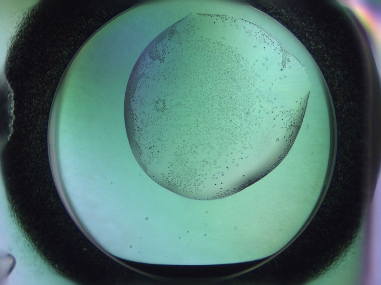 02km_D7_ImagerDefaults_9.jpg