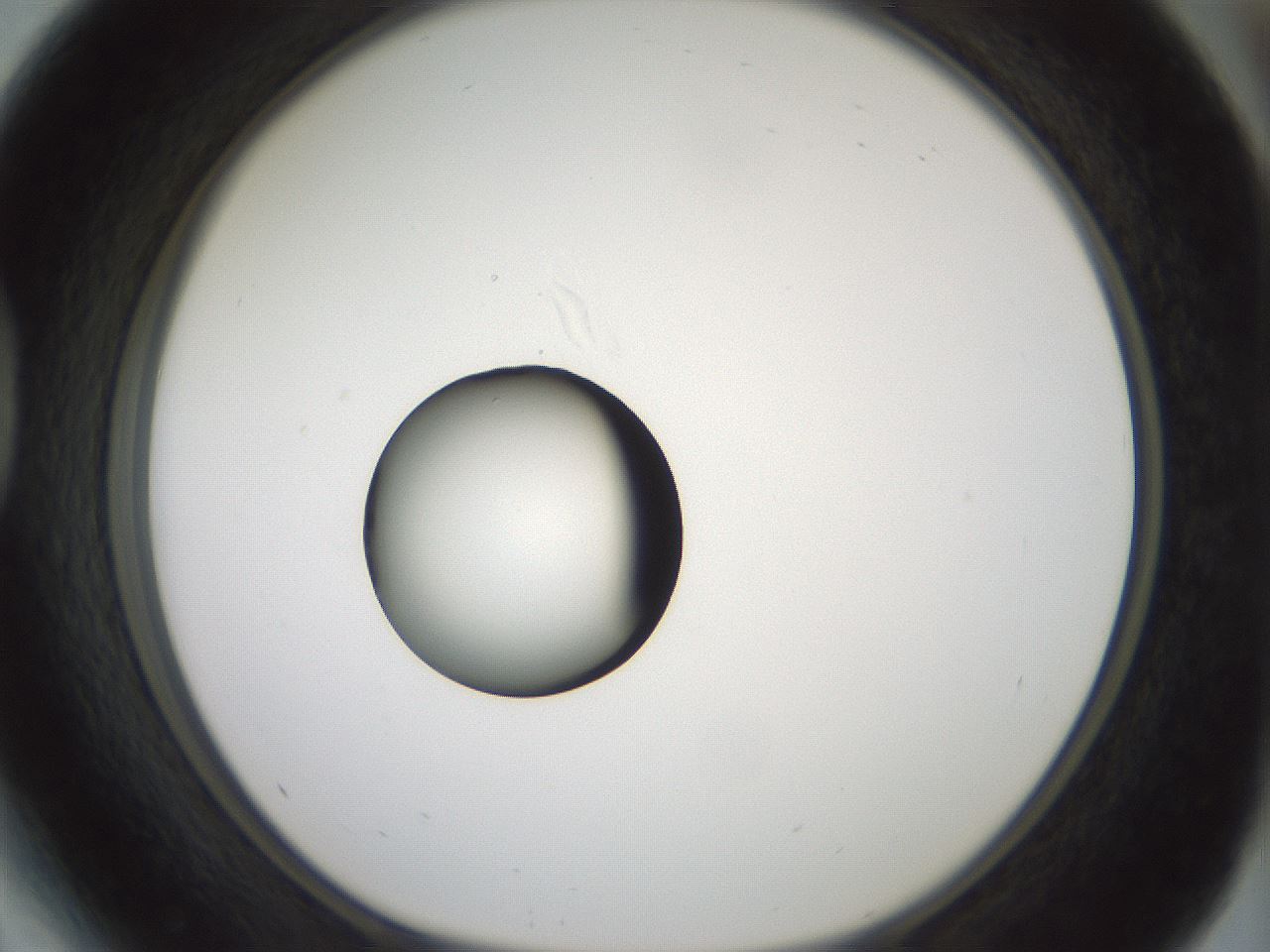 folderID381_plateID1381_batchID4970_wellNum41_profileID1_d1_r84344_ef.jpg