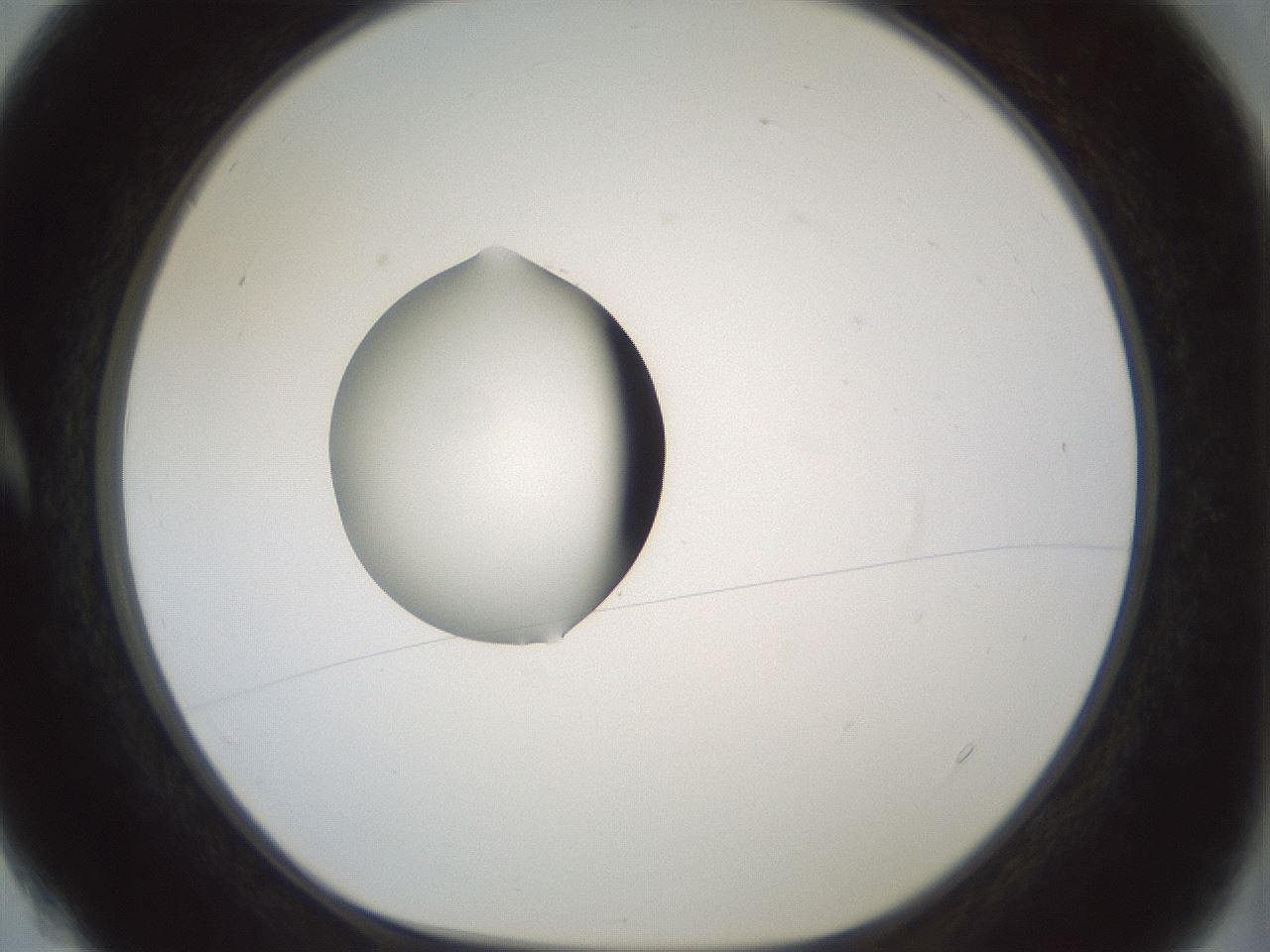 folderID381_plateID1381_batchID4970_wellNum4_profileID1_d1_r84307_ef.jpg