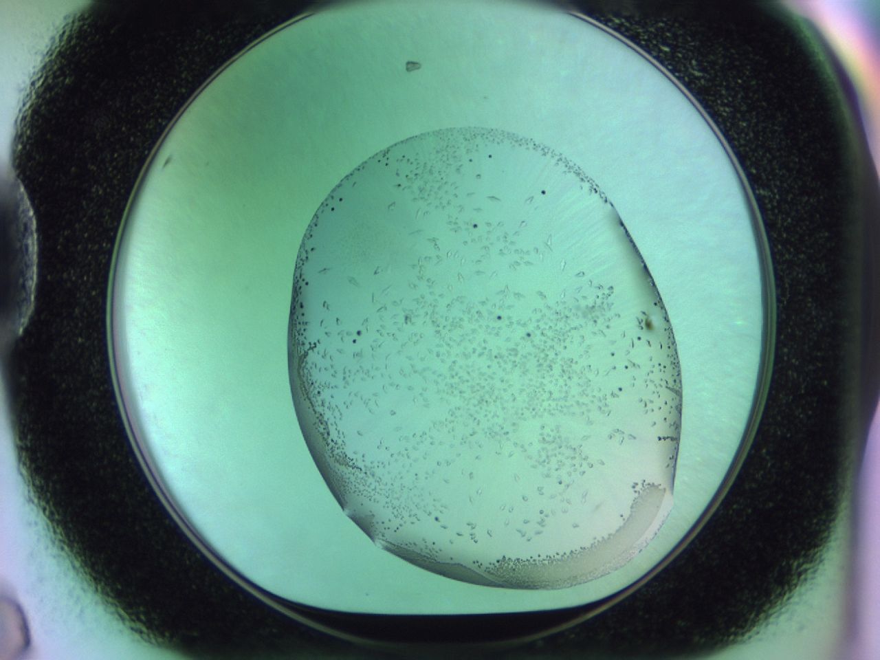 02km_D8_ImagerDefaults_9.jpg