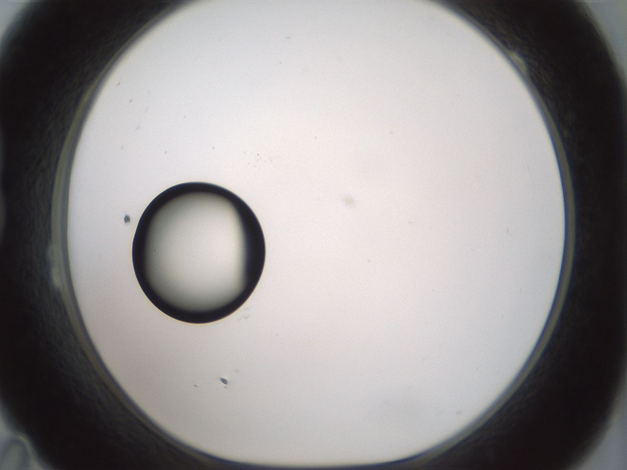 folderID381_plateID1381_batchID4970_wellNum23_profileID1_d1_r84326_ef.jpg