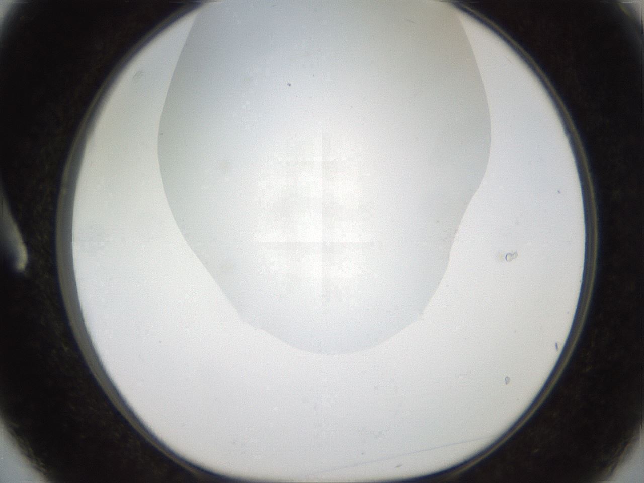 folderID381_plateID2381_batchID11228_wellNum3_profileID1_d1_r175749_ef.jpg