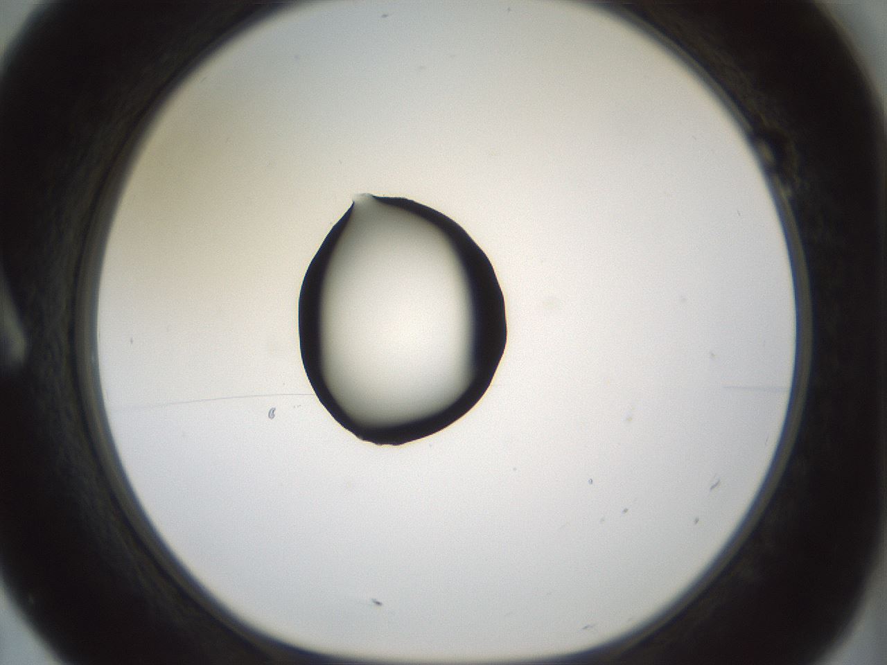 folderID381_plateID1381_batchID4970_wellNum7_profileID1_d1_r84310_ef.jpg