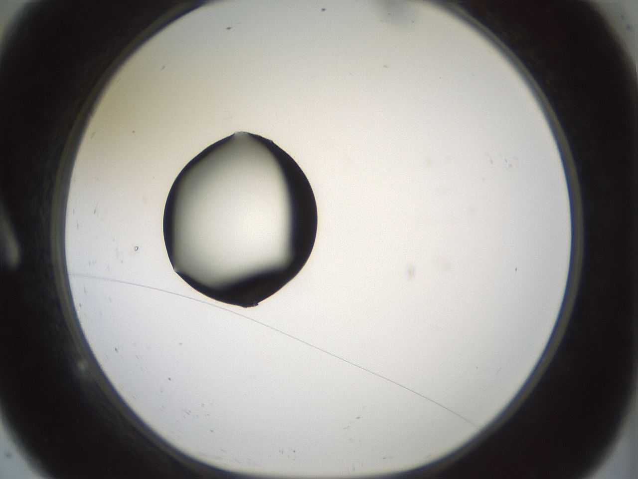 folderID381_plateID1381_batchID4970_wellNum9_profileID1_d1_r84312_ef.jpg