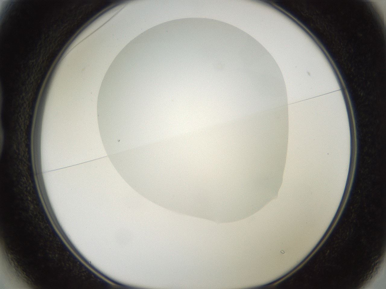 folderID381_plateID2381_batchID11228_wellNum13_profileID1_d1_r175759_ef.jpg