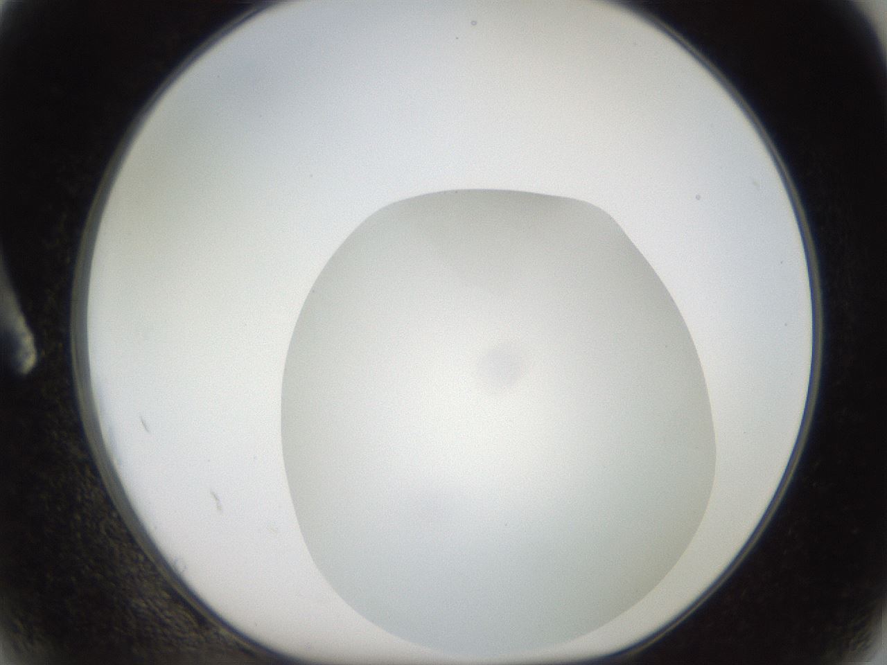 folderID381_plateID2381_batchID11228_wellNum2_profileID1_d1_r175748_ef.jpg