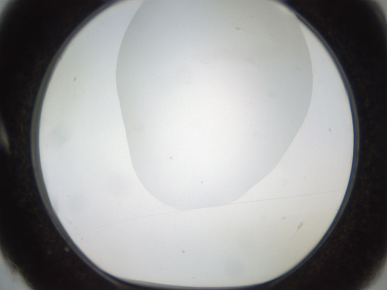 folderID381_plateID2381_batchID11228_wellNum4_profileID1_d1_r175750_ef.jpg
