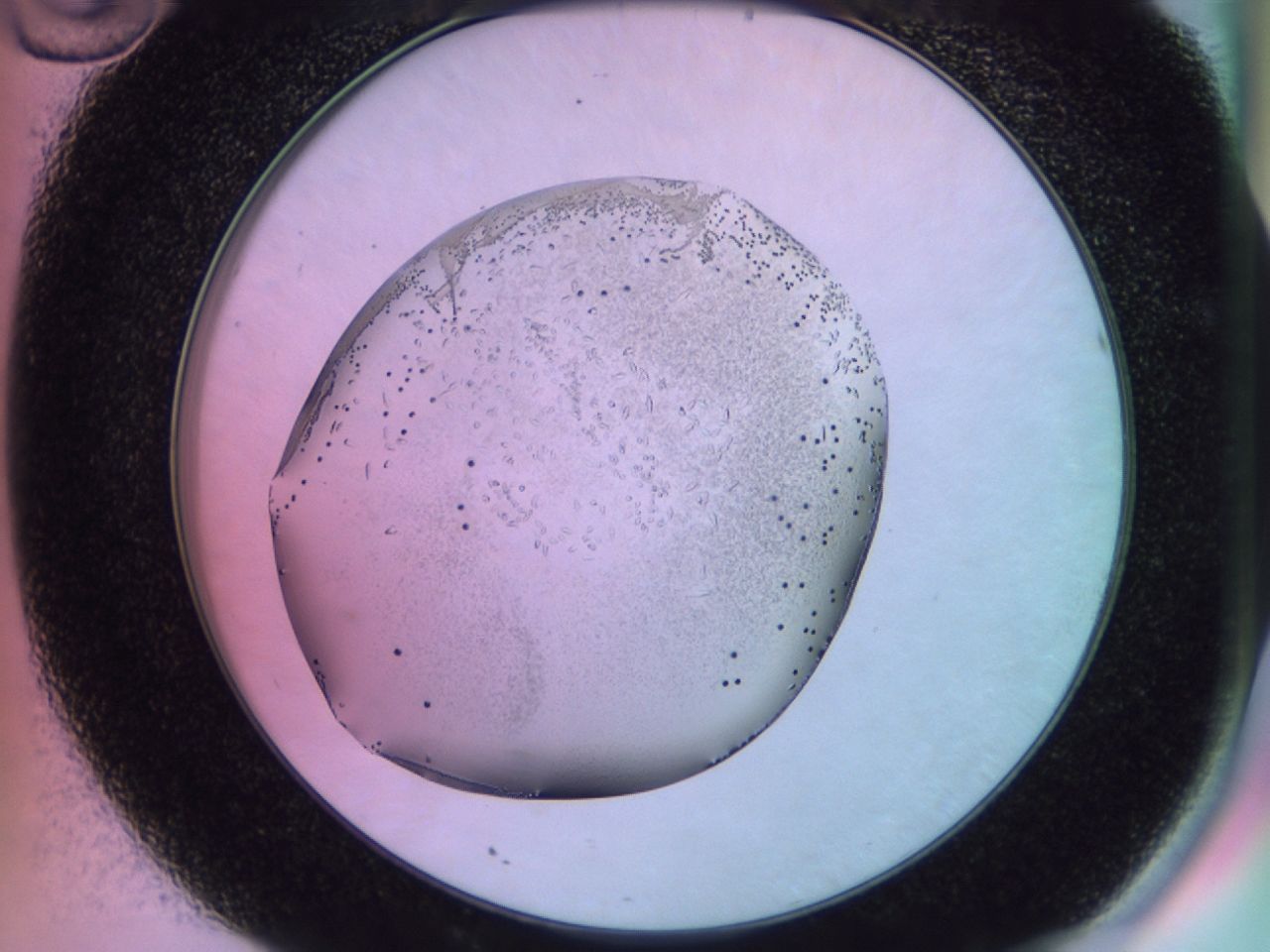 02km_D10_ImagerDefaults_9.jpg